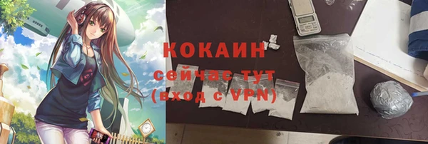 дурь Пересвет