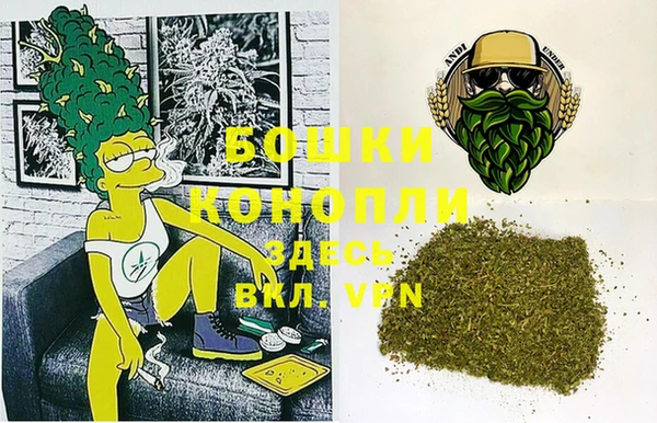 дурь Пересвет