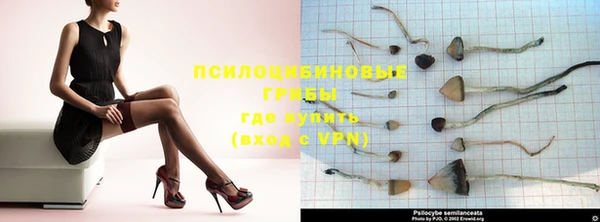 дурь Пересвет