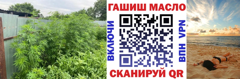 Купить закладки  Зуевка  ТГК гашишное масло 